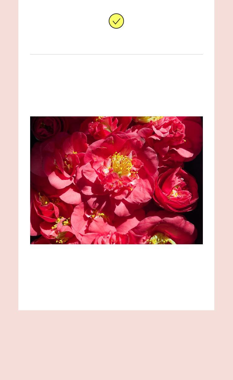 [Mamonde] AGE CONTROL SKIN LIFT SOFTENER 200ml