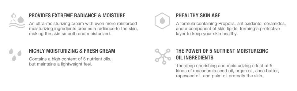 [CNP Laboratory] Propolis Ampule Oil-in-Cream 50ml