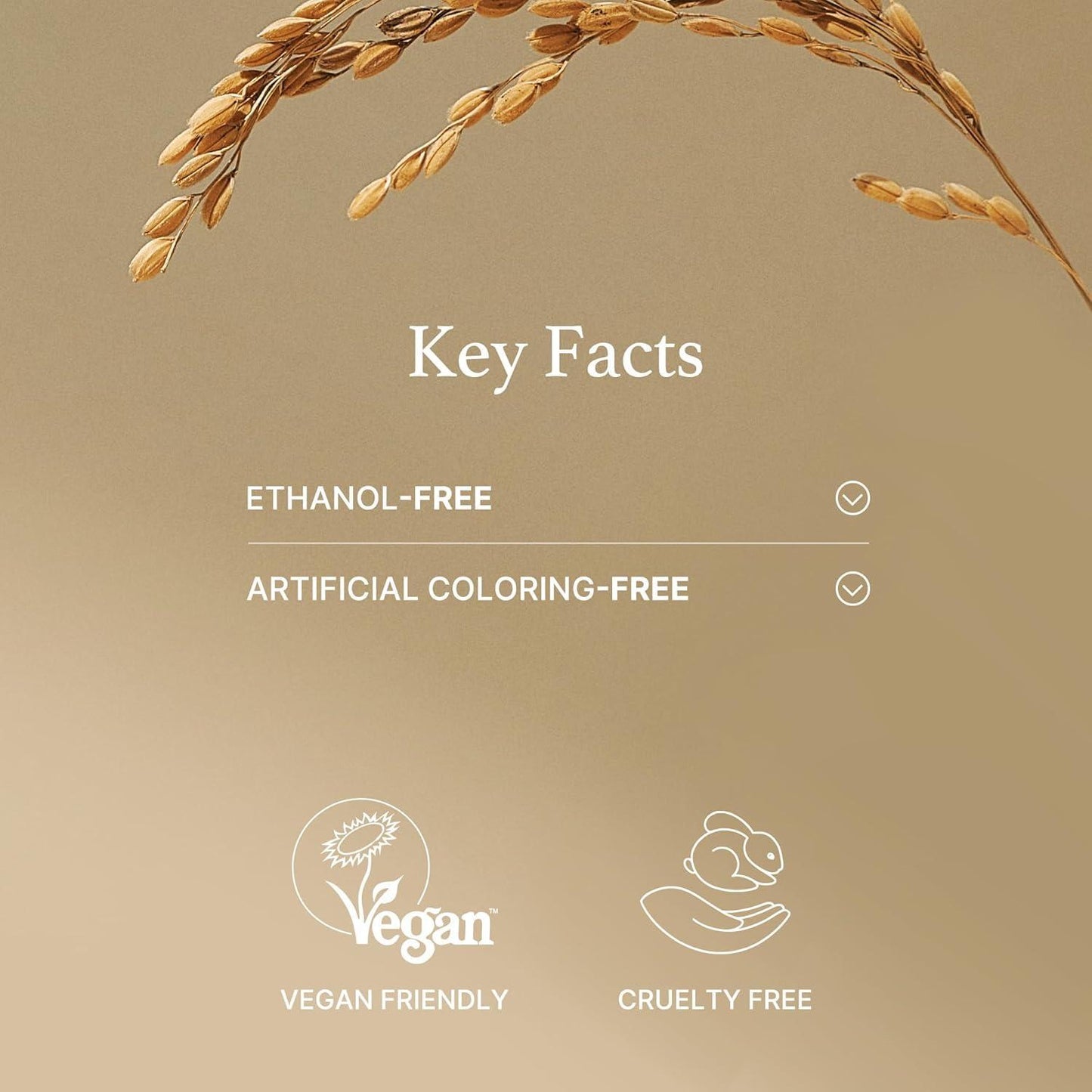 [ImFrom] Rice Mask 110g