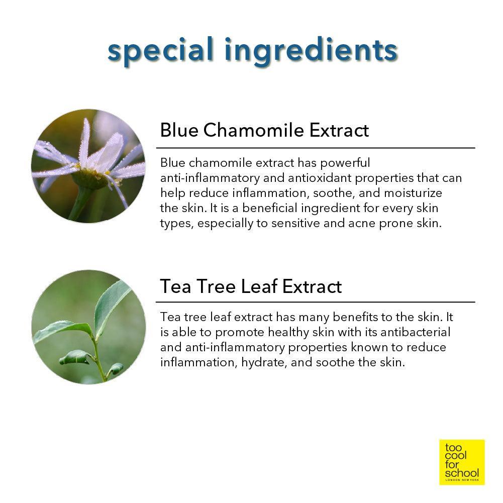 [TooCoolForSchool] Artclass By Rodin Finish Setting Pact 4g