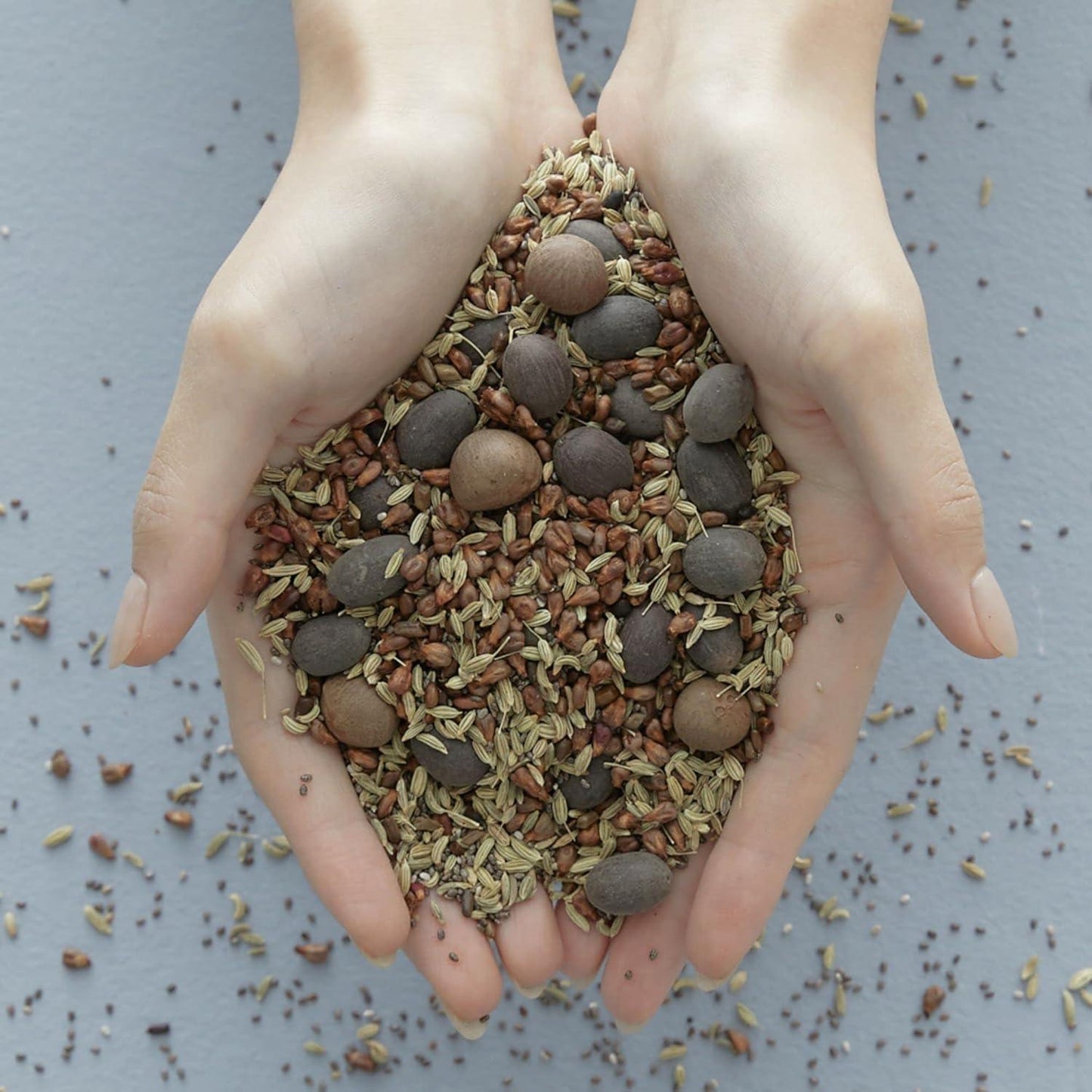 [Blithe] Vital Treatment 9 Essential Seeds 150ml