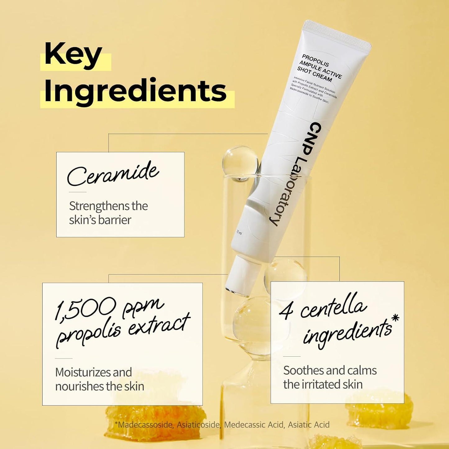 [Cnp Laboratory] Propolis Ampule Active Shot Cream 75ml