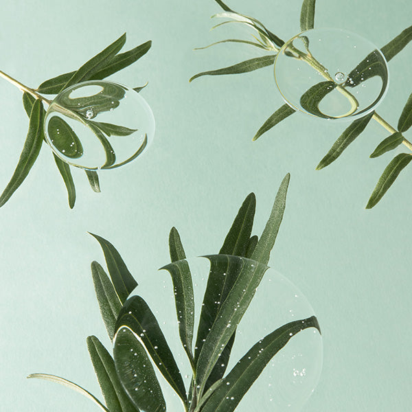 [ImFrom] Vitamin Tree Sheet Mask 22 ml (1ea)