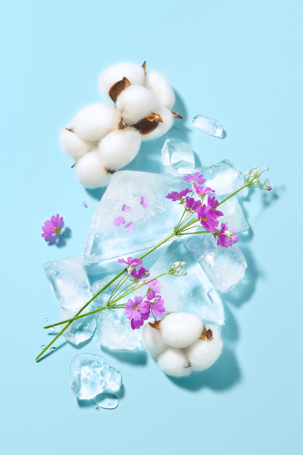 [Tocobo] Blur Finish Sun Cushion - 2types