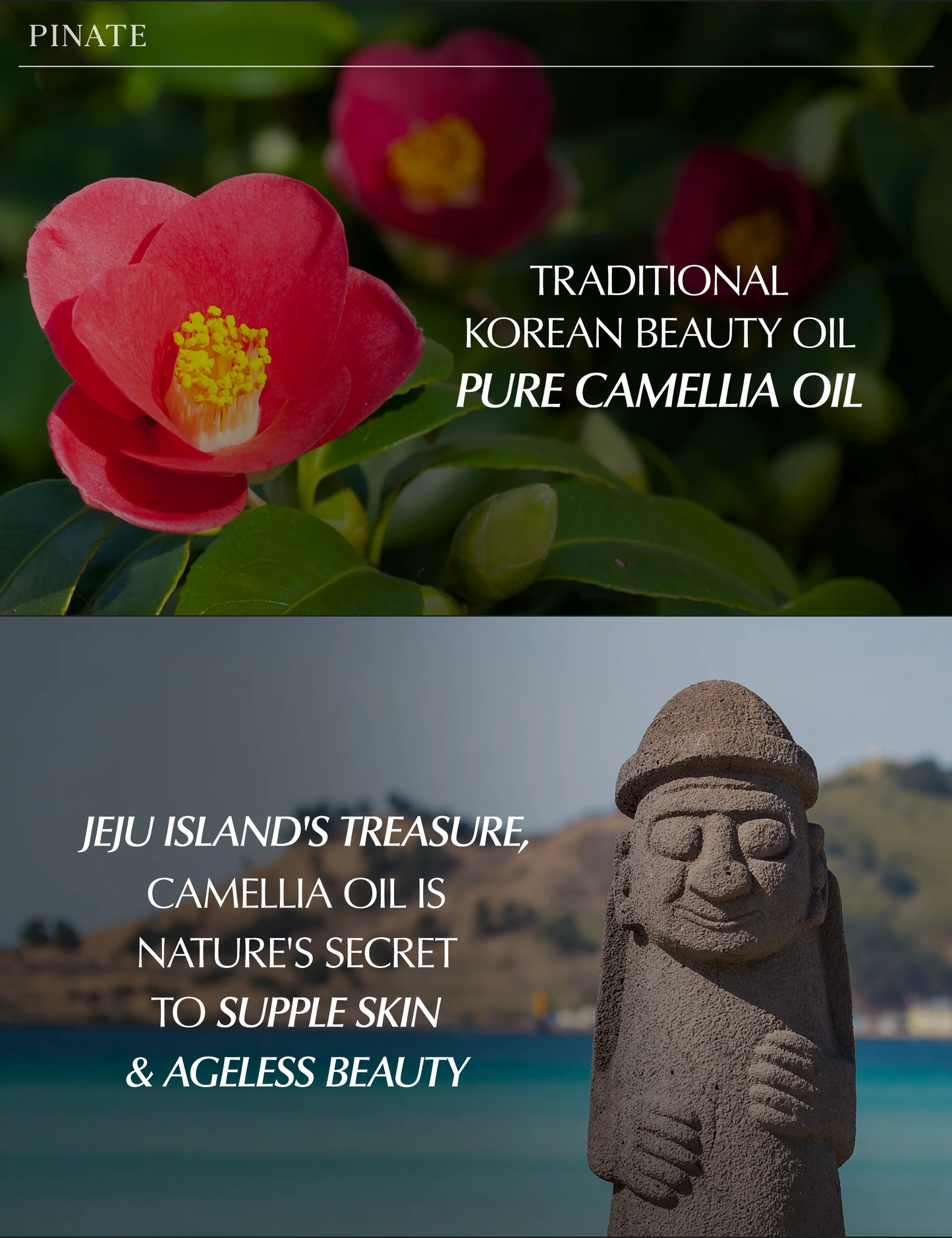 [Pinate] Natural Bloom Lip Oil Serum 48g - 3 Colors